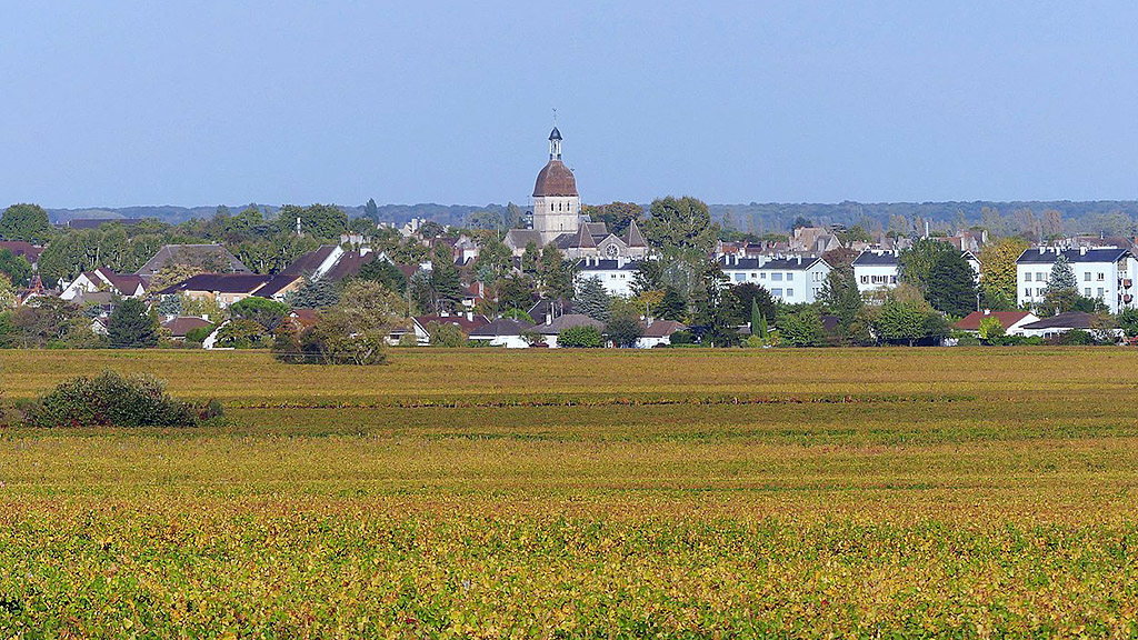 Spirito Italiano Hospices de Beaune vino in corsia spirito forma