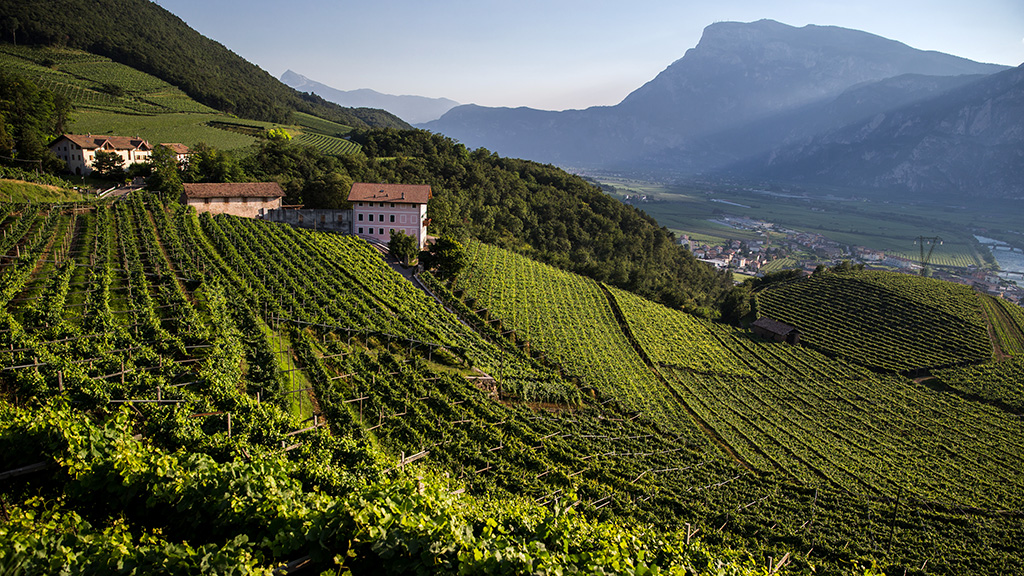 Spirito Italiano trentodoc,festival