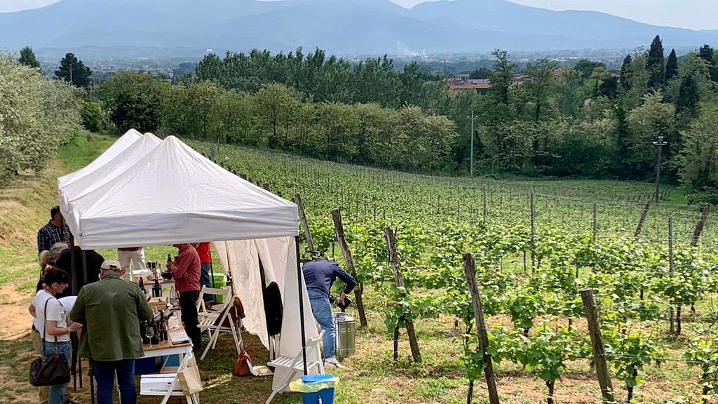 Spirito Italiano vignaioli fivi lucca massa carrara resilienti