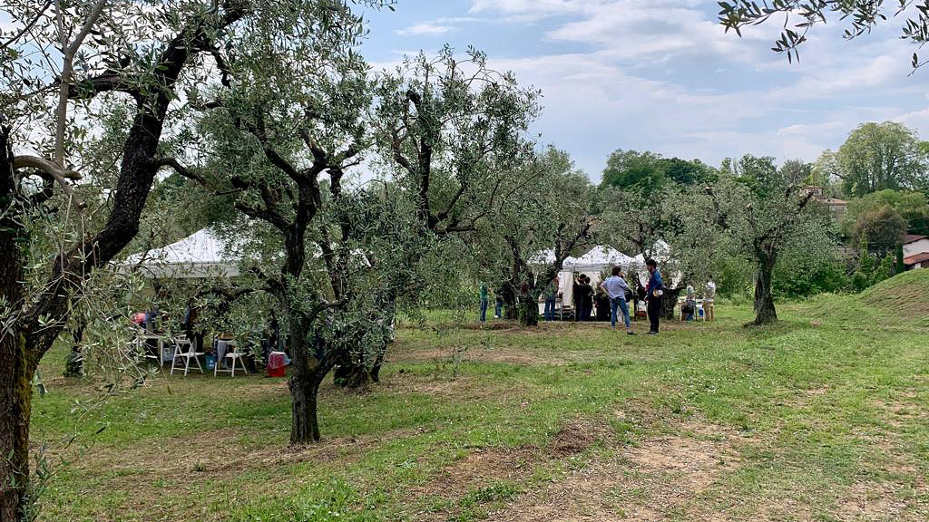 Spirito Italiano vignaioli fivi lucca massa carrara resilienti