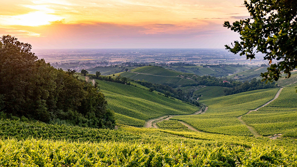 Spirito Italiano oltrepò terra pinot nero spumante