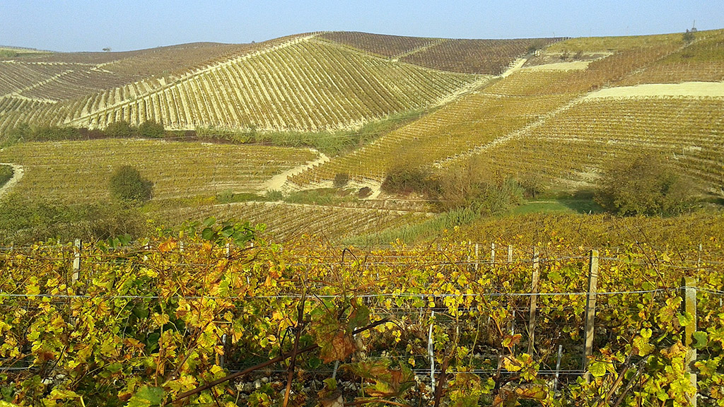 Spirito Italiano donne del vino accordo mondiale