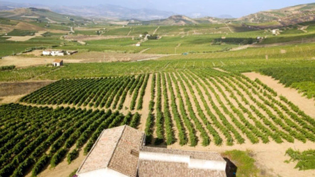 Spirito Italiano brugnano vino sicilia