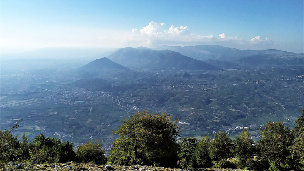 Spirito Italiano nuove scoperte vitivinicole uva solopaca