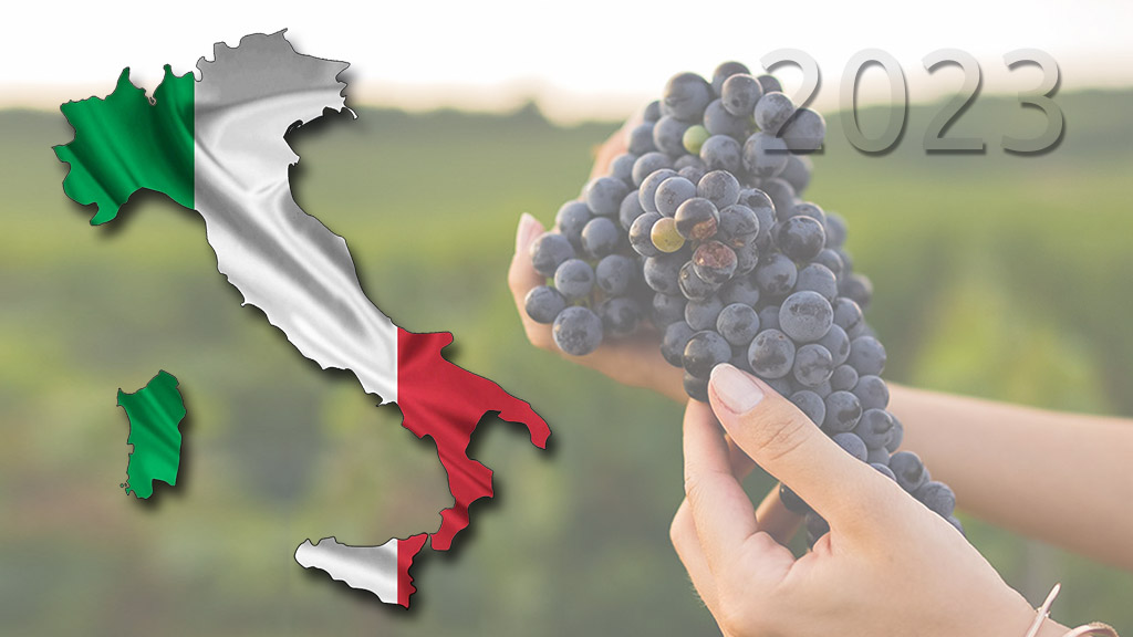 Spirito Italiano previsioni vendemmia vino italia 2023