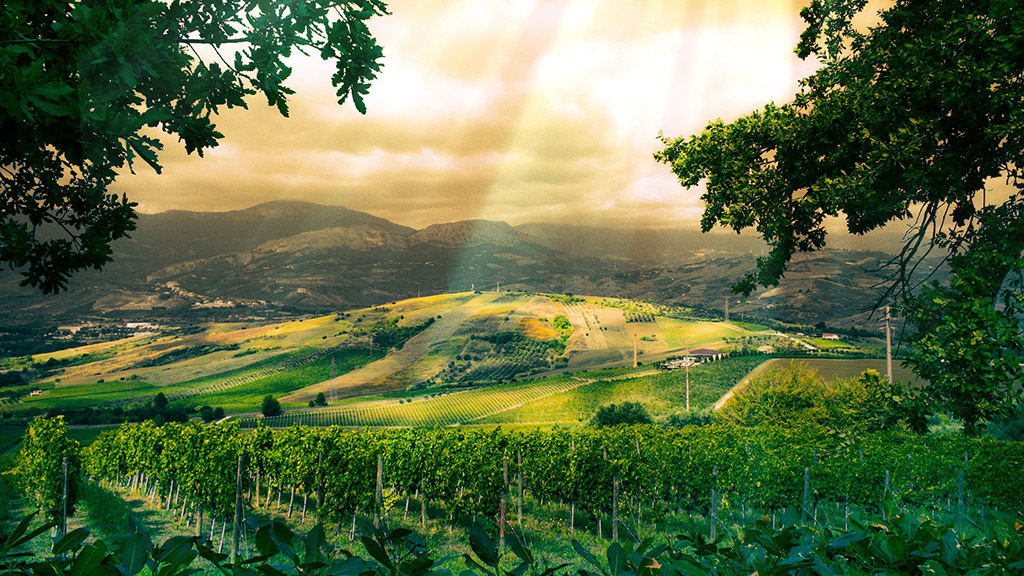 Spirito Italiano democrazia del vino enotreno