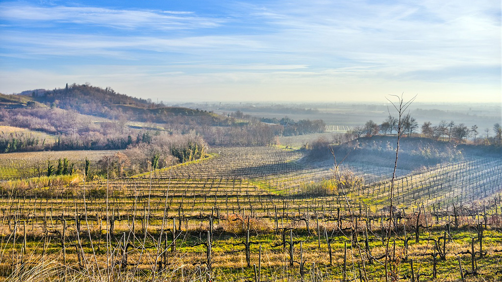 Spirito Italiano ais,guida,vitae,vini,migliori