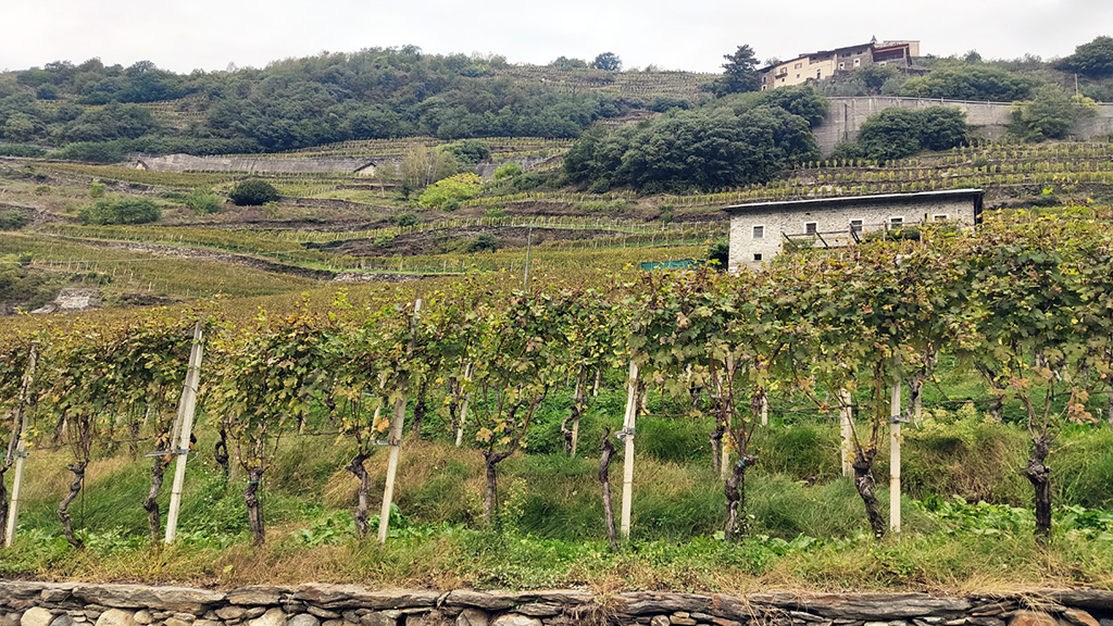 Spirito Italiano alessio magi valgella valtellina