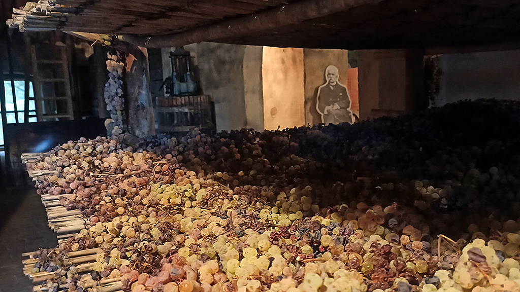 Spirito Italiano sonnino,montespertoli,vinsanto