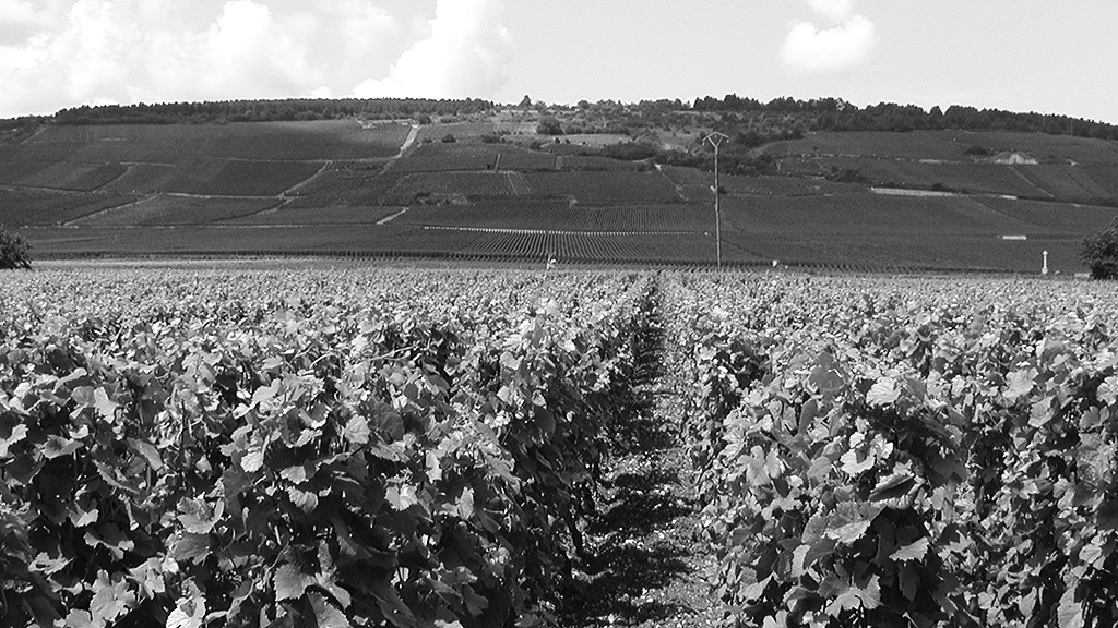 Spirito Italiano latour,romanee conti,taittinger