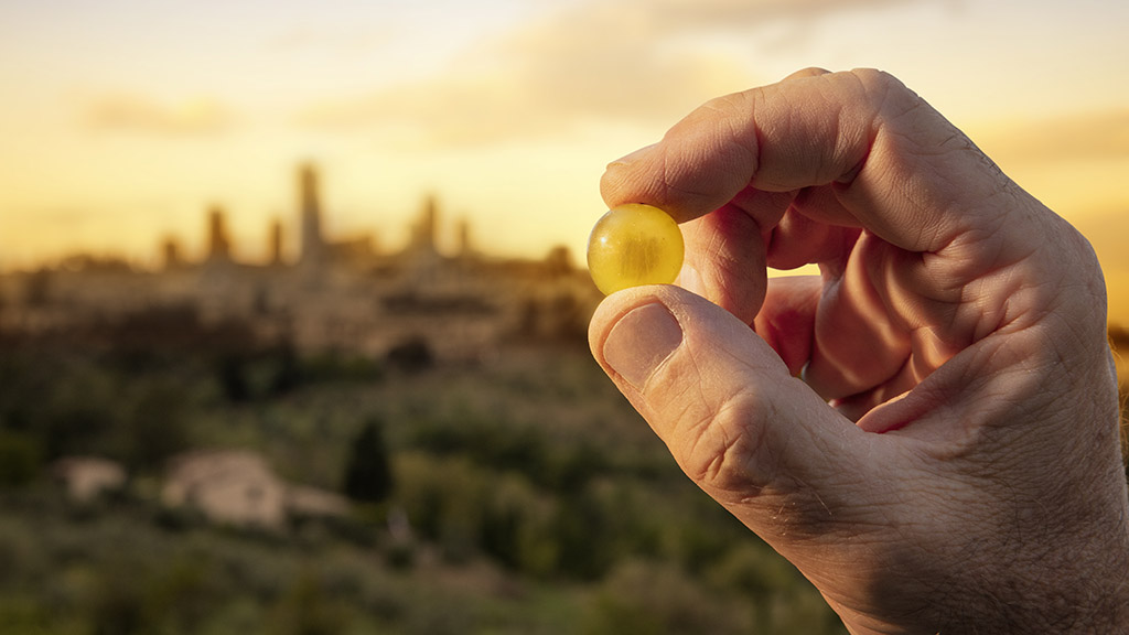 Spirito Italiano vernaccia,regina ribelle