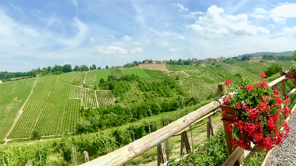 Spirito Italiano aromatica,ortrugo,malvasia