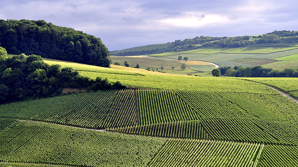 Spirito Italiano lussemburgo,dop,vino