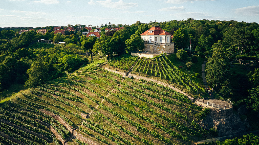 Spirito Italiano sassonia,vino