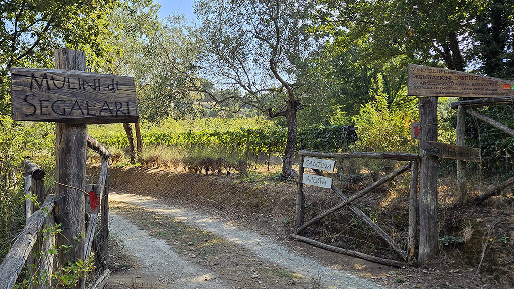 Spirito Italiano segalari,mulini,confini del bosco