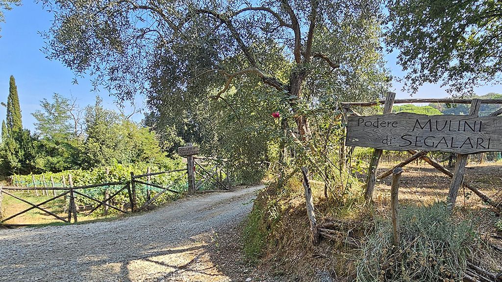 Spirito Italiano segalari,mulini,confini del bosco