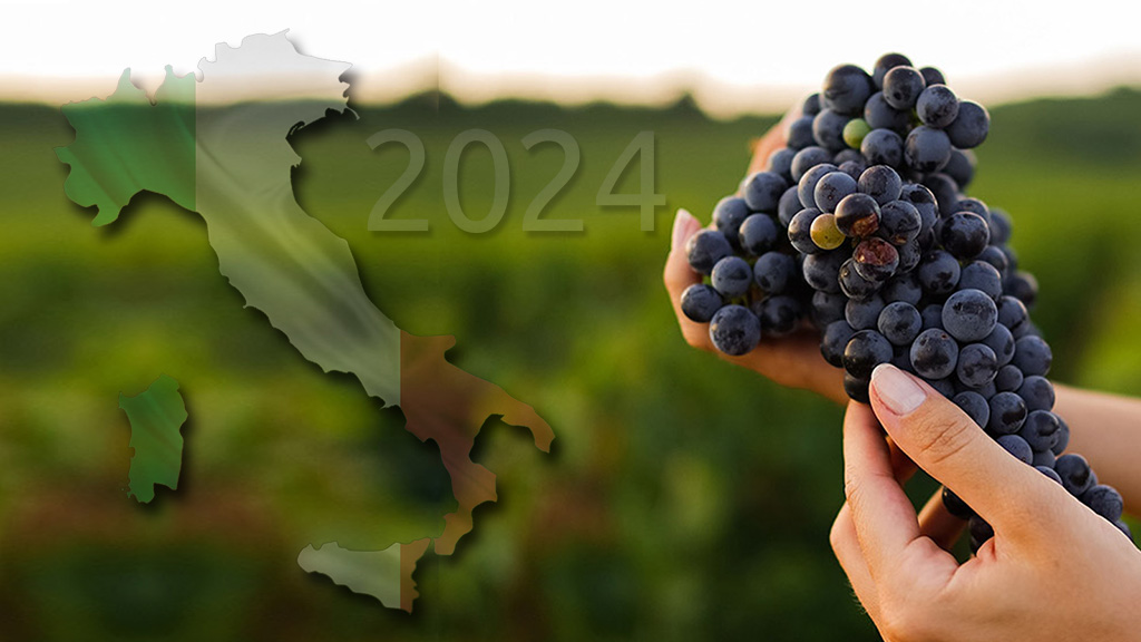 Spirito Italiano 2024,annata,vino