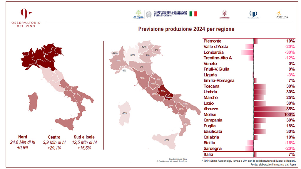 Spirito Italiano 2024,annata,vino