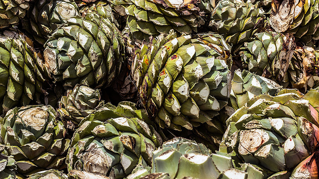 Spirito Italiano agave,mezcal,messico